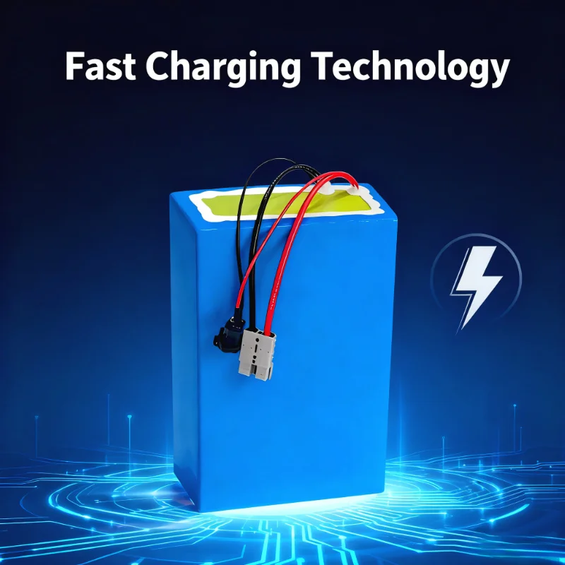 ชุดแบตเตอรี่ลิเธียมไอออน BMS 7 - 72V 60Ah Lifepo4 Battery Pack บทวิจารณ์และราคา